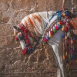 Turkish Horse Culture: A Tradition of Legacy and Prestige