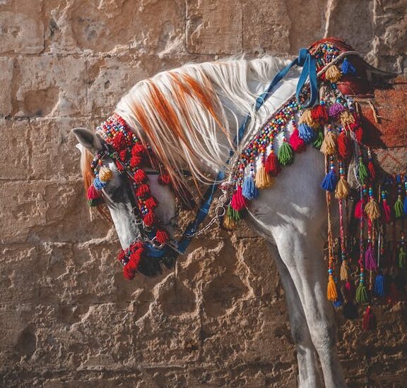 Turkish Horse Culture: A Tradition of Legacy and Prestige